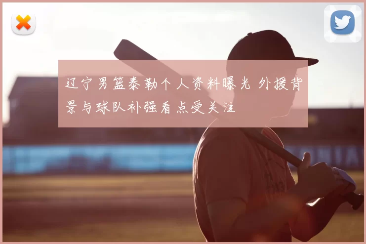 辽宁男篮泰勒个人资料曝光 外援背景与球队补强看点受关注