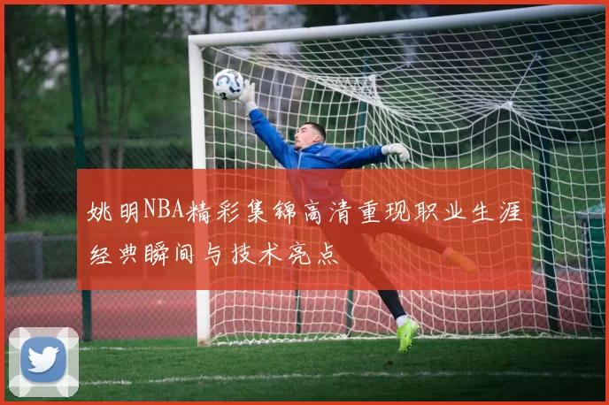 姚明NBA精彩集锦高清重现职业生涯经典瞬间与技术亮点