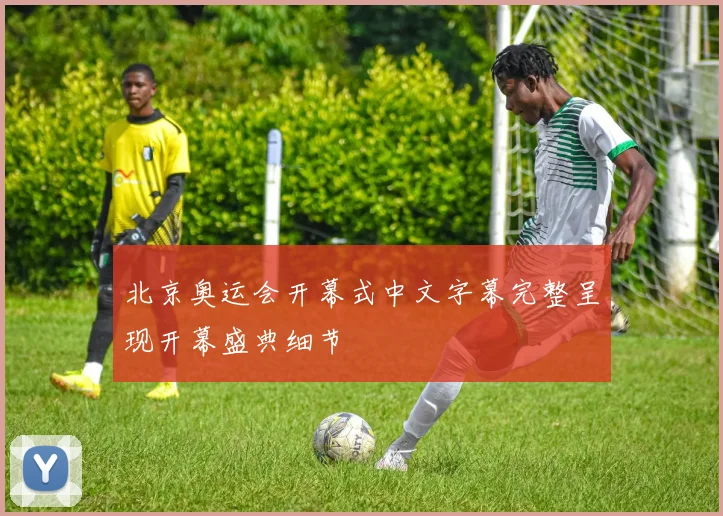 北京奥运会开幕式中文字幕完整呈现开幕盛典细节